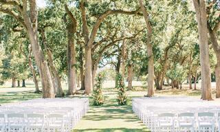Outdoor wedding ceremony venue set up with chairs and trees