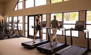 Two women jog on treadmills in a bright gym with large windows, surrounded by exercise equipment and greenery outside.