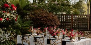 wedding table in the grove