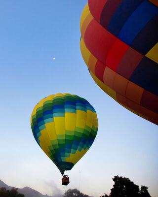 Two Hot Air Balloons in Napa Valley, California
