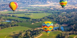 Hot Air Balloons over Napa Valley