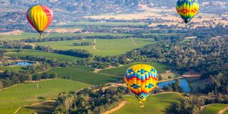 Hot Air Balloons over Napa Valley