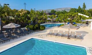 Outdoor Pools with Lounge Chairs and Umbrellas at a Napa Valley Resort