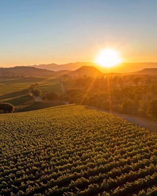 Vineyard landscape from Atlas Peak AVA