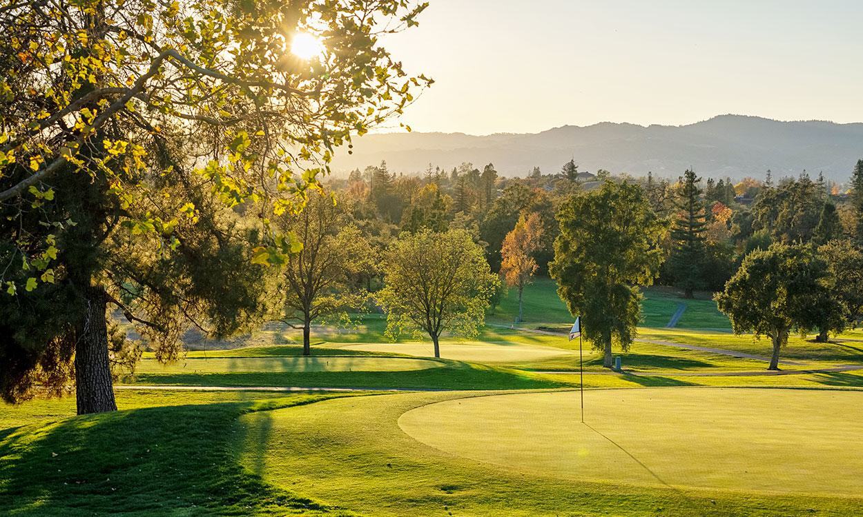 Napa Valley Golf Courses 