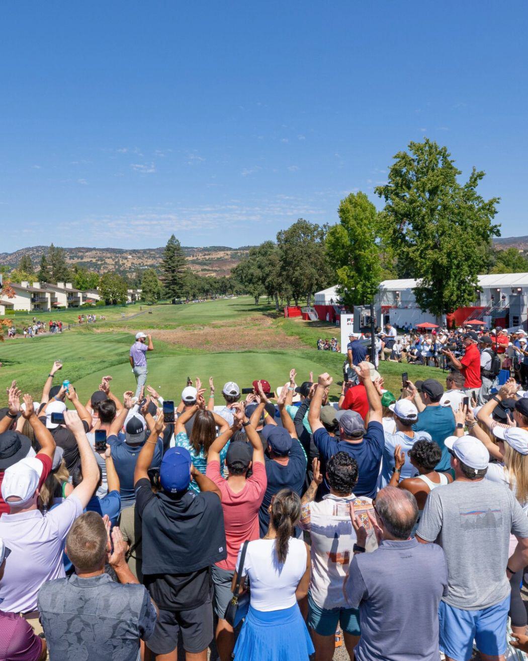 Procore Championship Napa Valley Golf Tournament